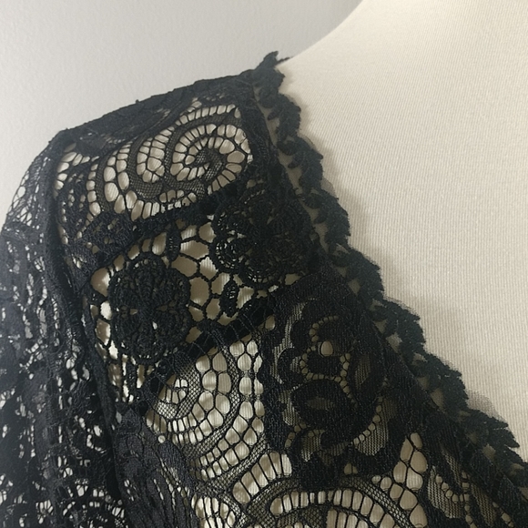 Top: NEW Adiva Rose Lace V-Neck Blouse - Picture 5 of 6